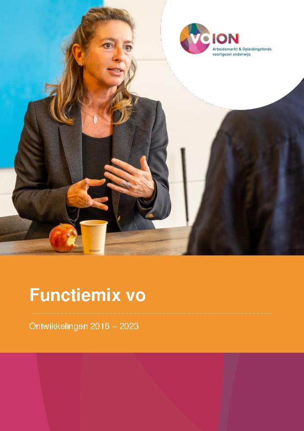 Rapport analyse Functiemix vo - november 2024