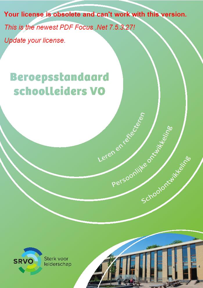 Beroepsstandaard schoolleiders VO - januari 2021